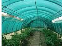 Green Agro Shed Nets